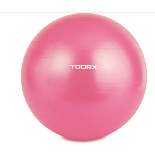 Купить Фитбол  Toorx Gym Ball 55 cm Fuchsia (AHF-069) в Киеве - фото №1